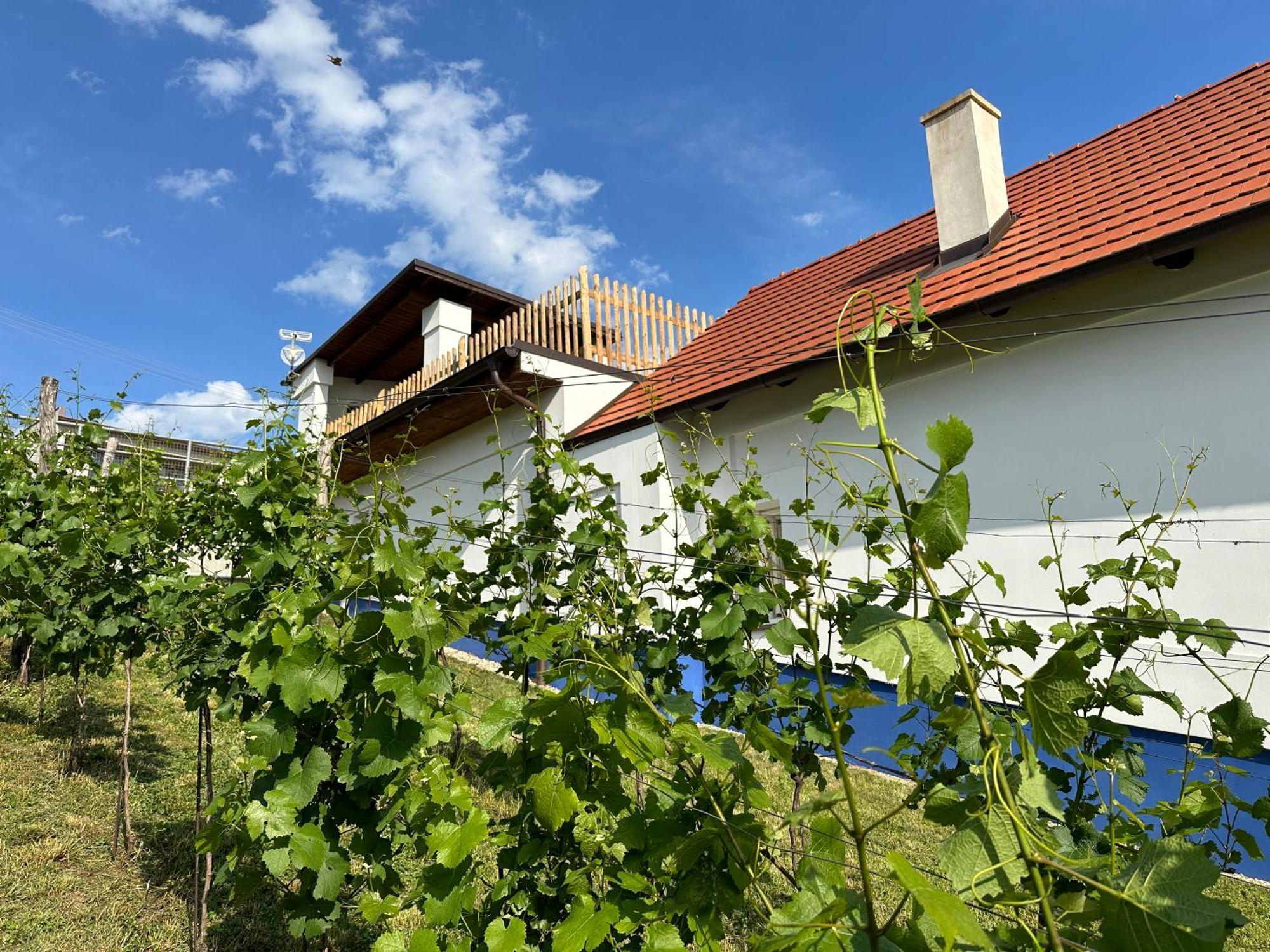 Villa Nad Slovackym Sklipkem Tupesy Exterior foto
